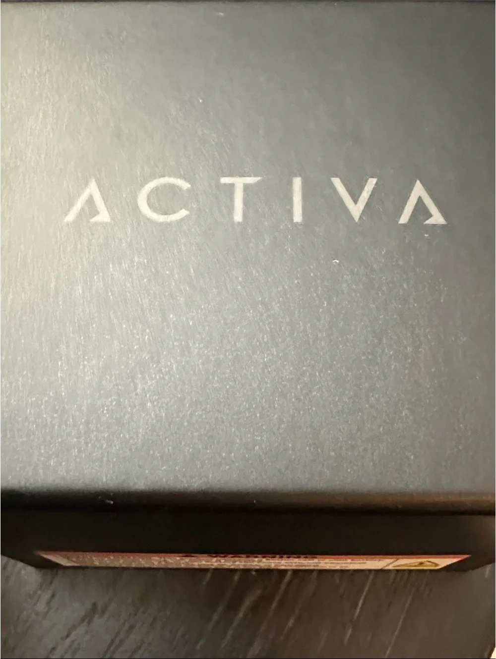 Activa Silver Stainless Steel Dual Time Watch with Light Blue Dial